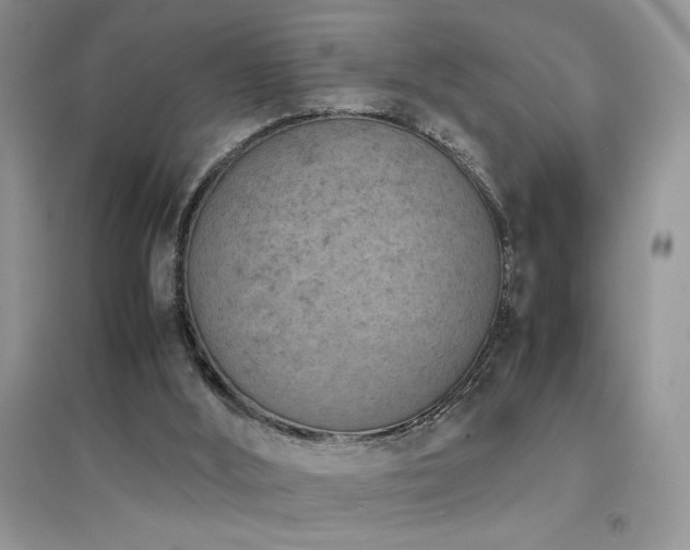 X0000094970012200711291515