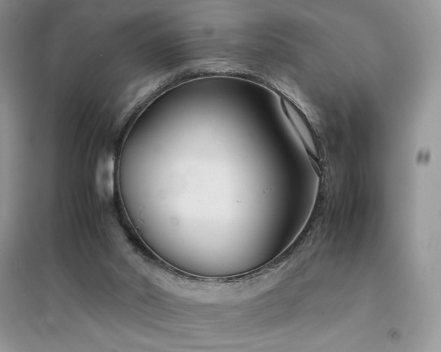 X0000094970014200711291514