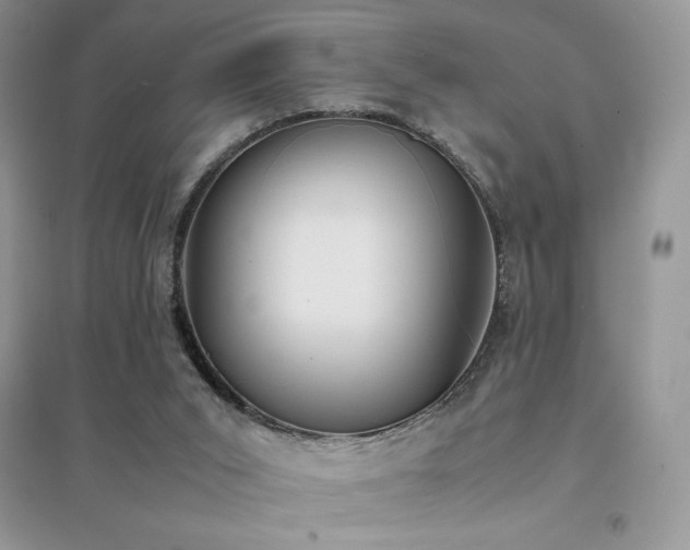 X0000094970015200711291514