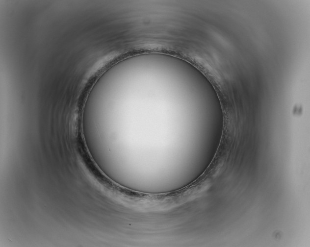 X0000094970016200711291514