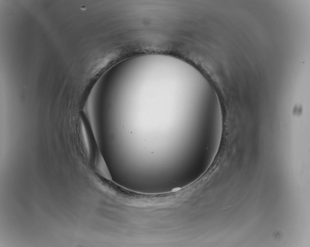 X0000094970017200711291514