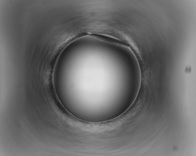 X0000094970018200711291514