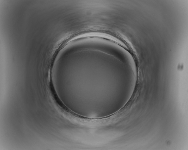 X0000094970019200711291514
