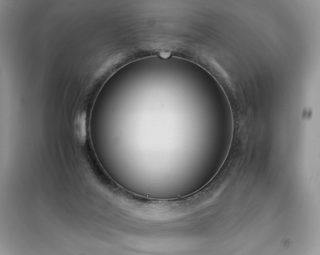 X0000094970020200711291514