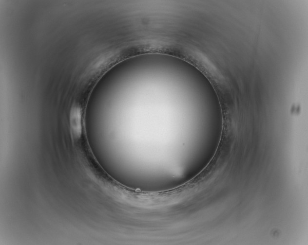 X0000094970022200711291514