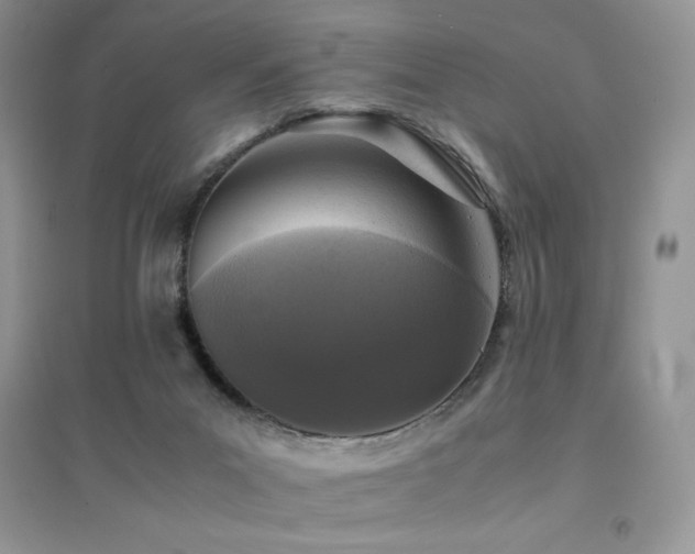 X0000094970023200711291514