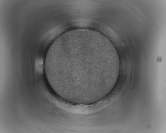 X0000094970024200711291514