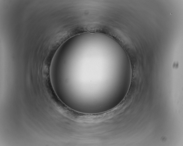 X0000094970025200711291514
