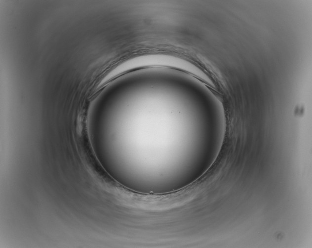 X0000094970026200711291514