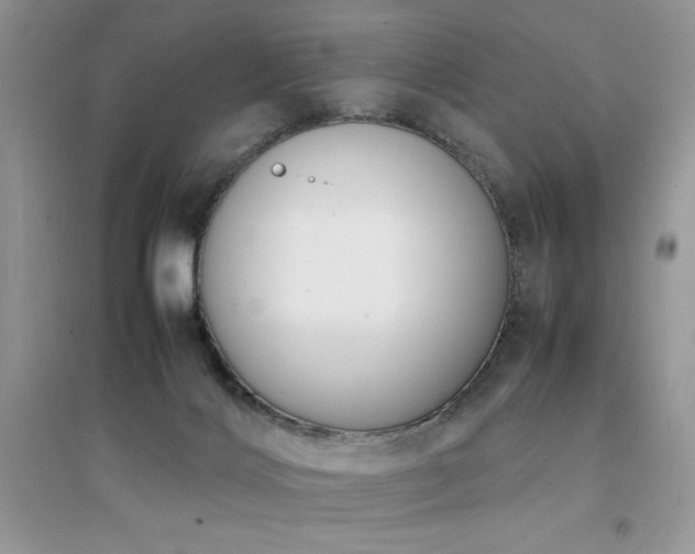 X0000094970028200711291514