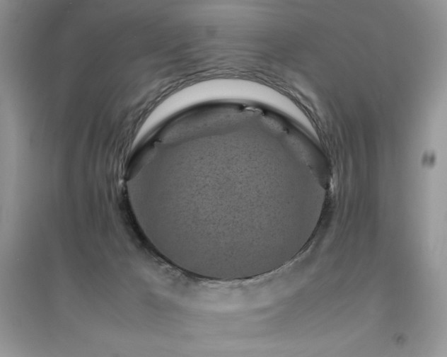 X0000094970029200711291514