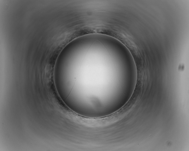X0000094970030200711291514
