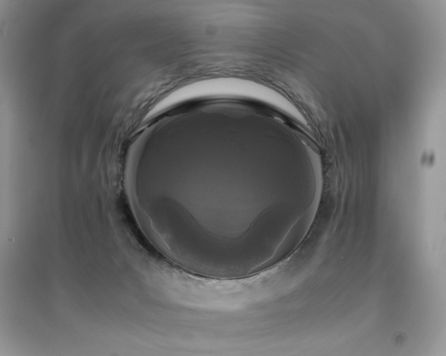 X0000094970031200711291514