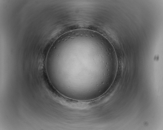 X0000094970032200711291514
