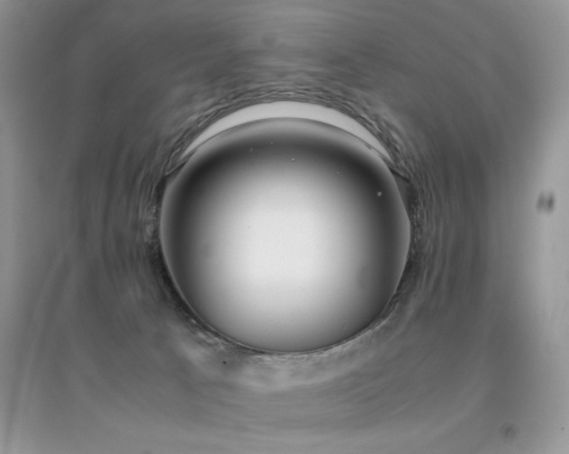 X0000094970033200711291514