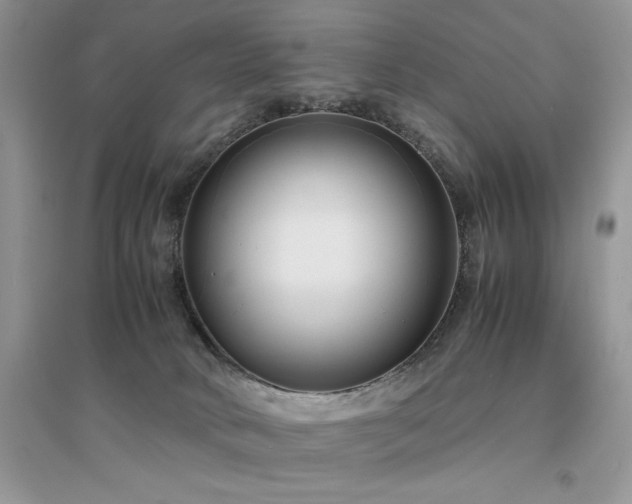 X0000094970034200711291514
