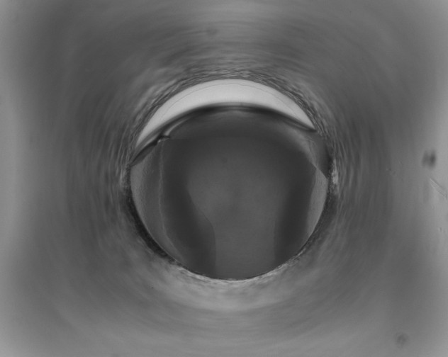 X0000094970035200711291514