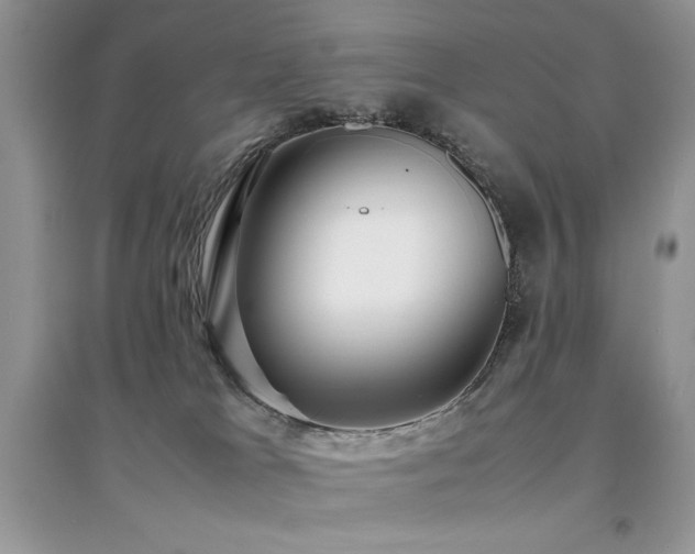 X0000094970037200711291514