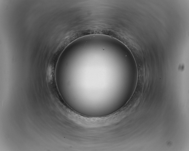X0000094970038200711291514