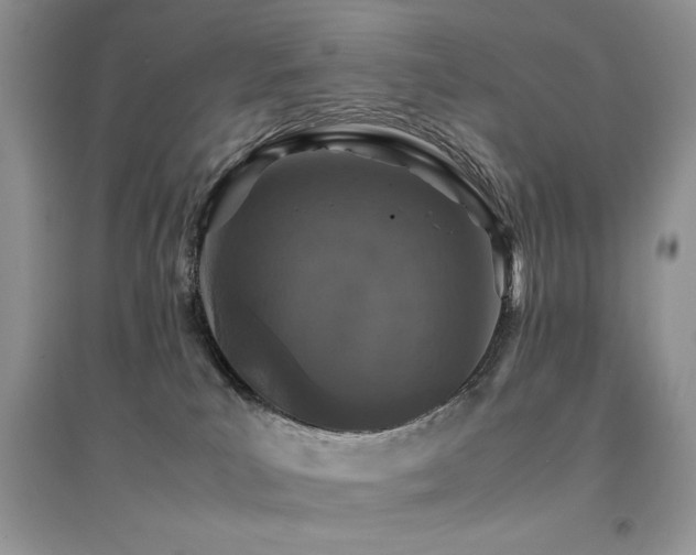 X0000094970039200711291514