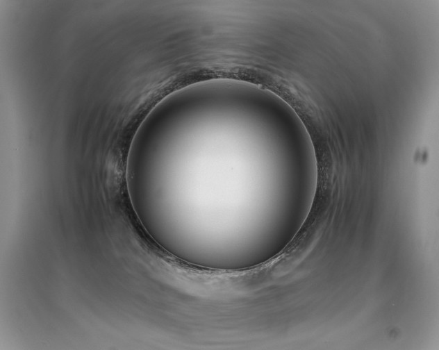 X0000094970040200711291514