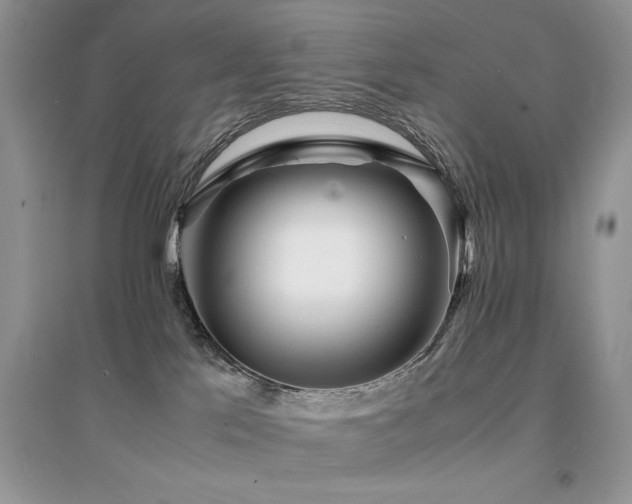 X0000094970041200711291514