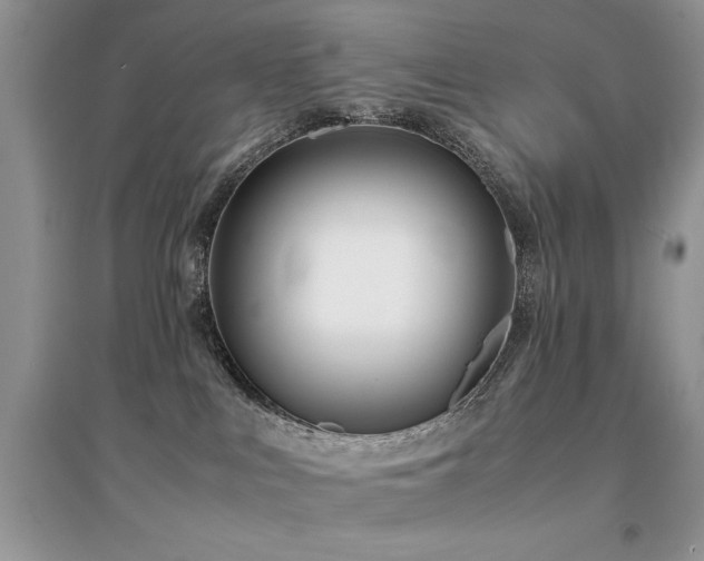 X0000094970043200711291514