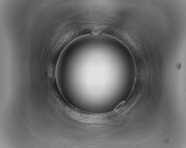 X0000094970044200711291514