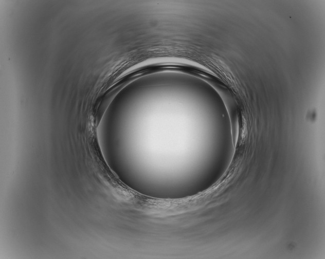 X0000094970045200711291514