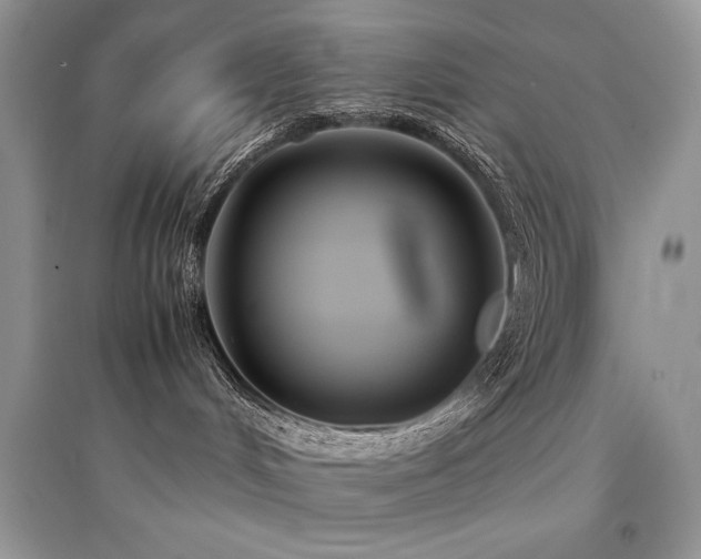 X0000094970048200711291514