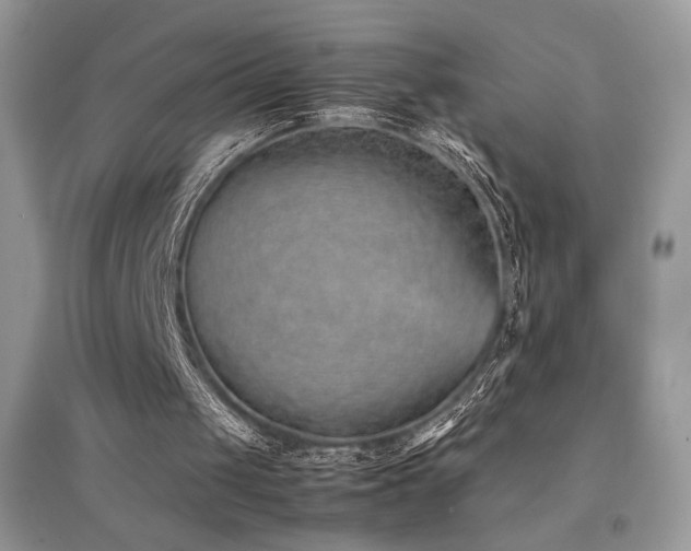 X0000094970049200711291513