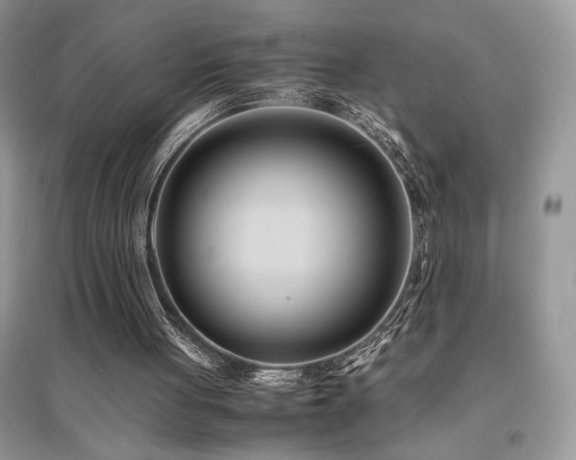 X0000094970051200711291513