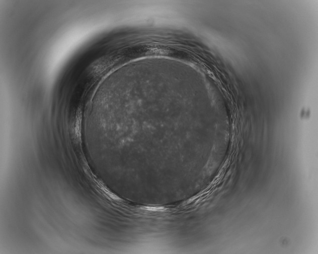 X0000094970052200711291513