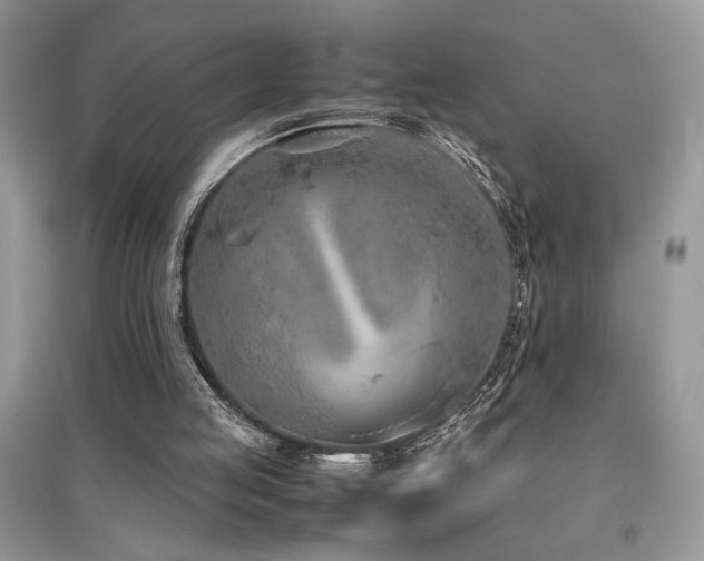 X0000094970053200711291513