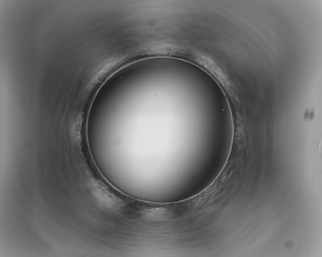 X0000094970058200711291513