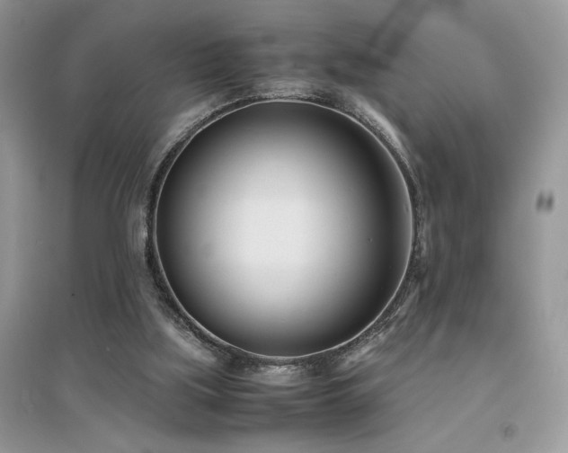 X0000094970059200711291513