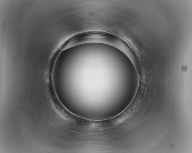 X0000094970060200711291513