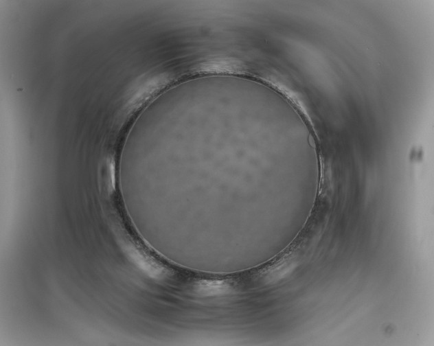 X0000094970061200711291514