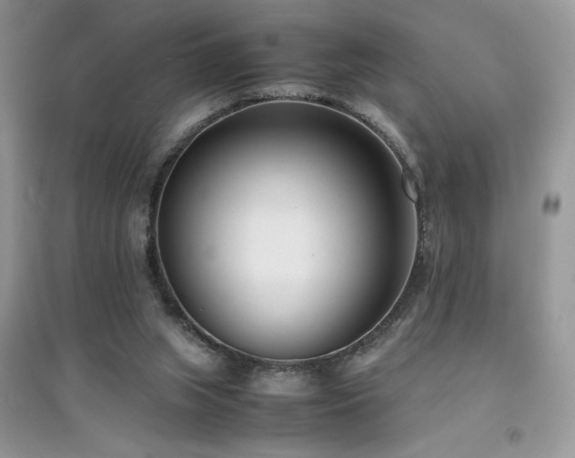 X0000094970063200711291514