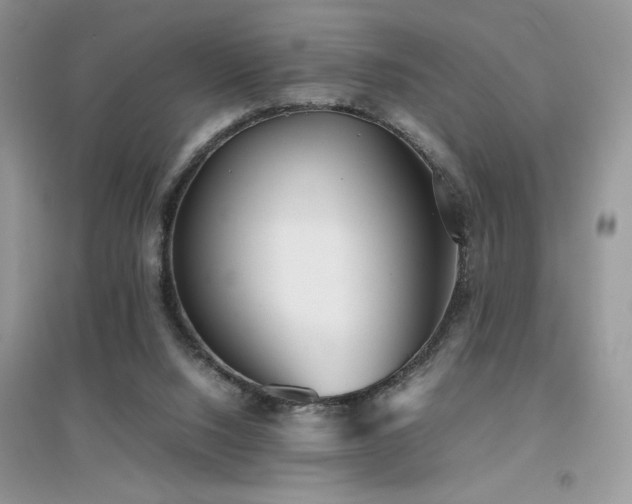 X0000094970064200711291514