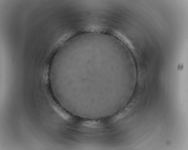 X0000094970065200711291514