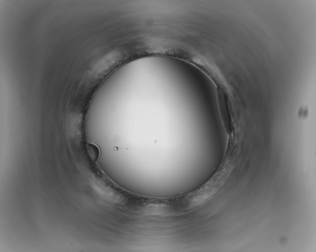 X0000094970066200711291514