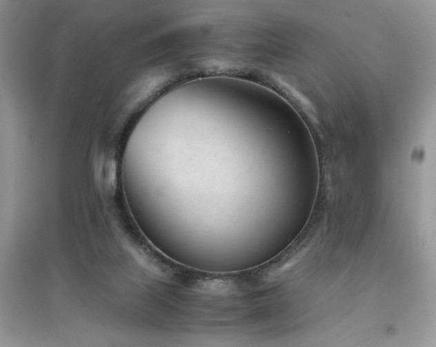 X0000094970067200711291514