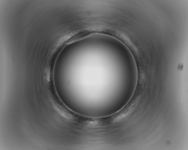 X0000094970068200711291514