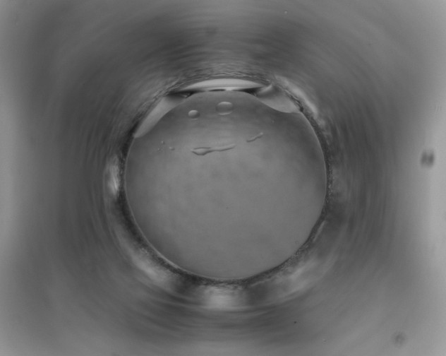 X0000094970069200711291514