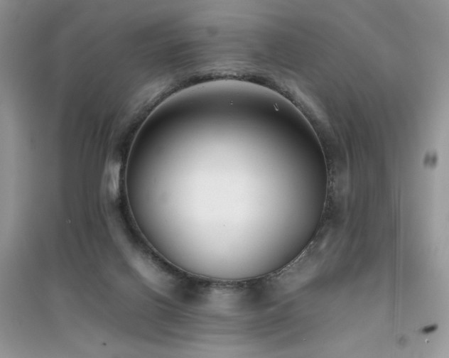 X0000094970070200711291514