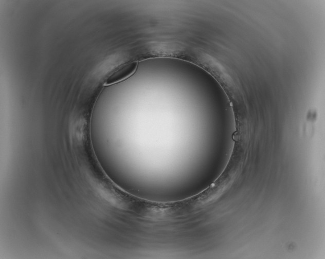 X0000094970071200711291514