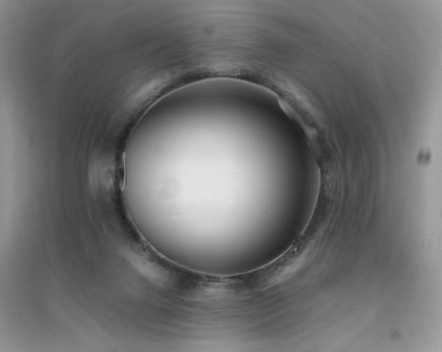 X0000094970072200711291514