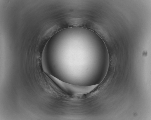X0000094970073200711291514