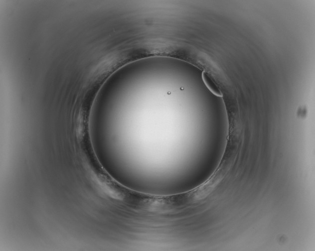 X0000094970074200711291514